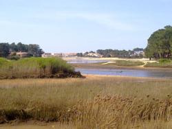 Pibales 13 : T3 duplex avec superbe vue Courant